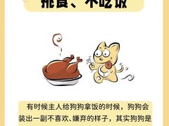 -美联众合动物医院·24h转诊中心