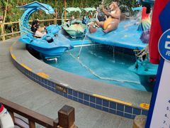 -南宫五洲植物乐园