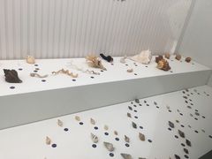 -青岛贝壳博物馆