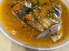 剁椒鱼头-张鸟园农家乐(张鸟园店)