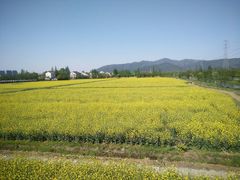 -长田漾湿地公园