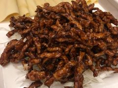 -金蝉食府(维吉奥广场店)