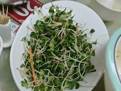 -青岛锅贴(四流中路店)