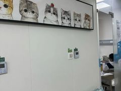 -美联众合动物医院·24h京西诊疗中心