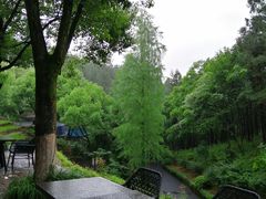 -裸心谷·裸心味餐厅