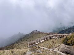 -白草畔自然风景区