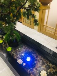 -芳朵美容养生SPA