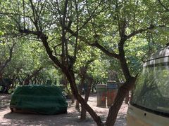 -尚庄度假村·庭台树下·户外烧烤·团建CS·轰趴营地(上庄水库店)