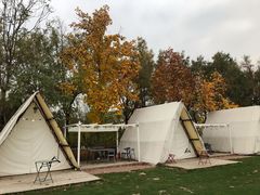 -TIPPI营地 房车主题·露营烧烤团建轰趴(天安假日店)