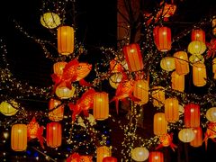 -龙湖星悦荟(颐和店)