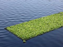 -重庆彩云湖湿地公园