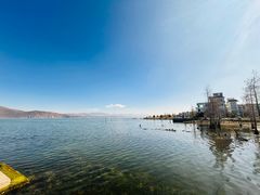 -洱海月湿地公园
