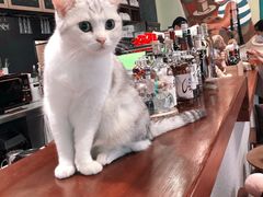 -咖法森林·咖啡  酒吧(天河店)