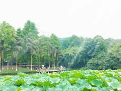 -龙头寺公园