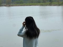 -东湖落雁景区