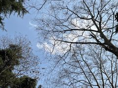 -雨花台烈士纪念馆