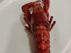 -新日月育才大酒店-中餐厅(环城北路店)