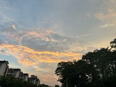 -小稻田辣椒炒肉(大浪商业中心店)