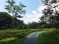 -四海公园(南山区)