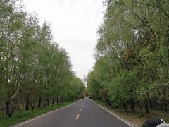 -同里国家湿地公园