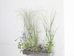 -荷兰布尔玛国际花艺学院