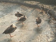 -北京美神宫艺术主题温泉酒店