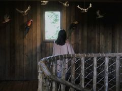 -杭州开元森泊度假乐园