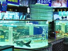 -尚海豆捞(乐虹坊店)