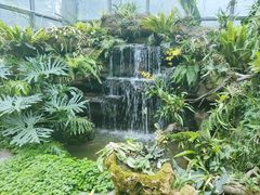 -东莞植物园