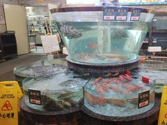 -德胜轩正宗顺德菜(宝安沙井会展中心店)