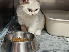 -荔康动物医院(康王北路店)