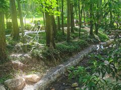 -东明山森林公园