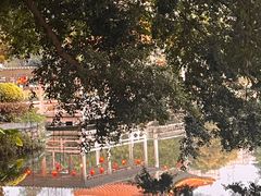 -荔湾湖公园