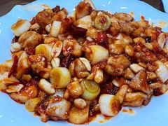 宫爆鸡丁-白魁老号饭庄(安内店)