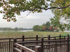 -东湖落雁景区