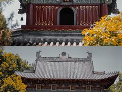-洛阳白马寺