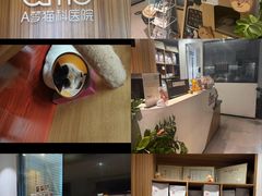 -御宝贝·A梦猫科宠物医院(国际猫友好医院)