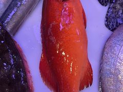 -桃源市场(解放路店)