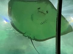 -苏州海洋馆