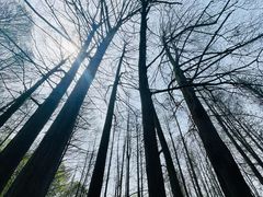 -波尔登森林公园
