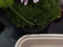 -淮香国色·淮扬菜(正大中心店)