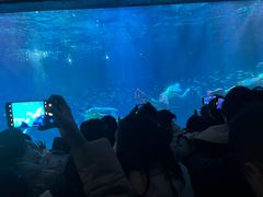 -海合安成都极地海洋公园