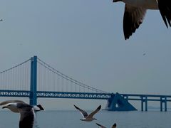 -星海湾跨海大桥