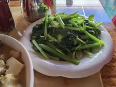 -煲来饱去冷水鱼