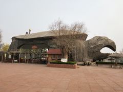 -太阳部落