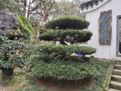 -南山植物园