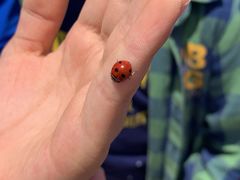 -营地公园·团建拓展·亲子户外(奉贤店)