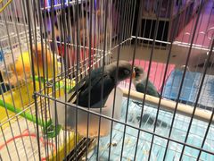 -鸿通城购物中心