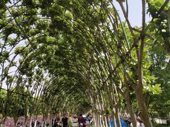 -武汉紫薇都市田园