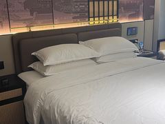 -铂尔登国际酒店(南山深圳湾口岸店)